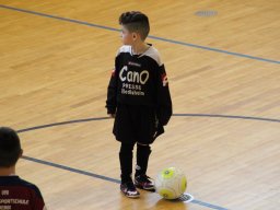 mini-IMG_5501